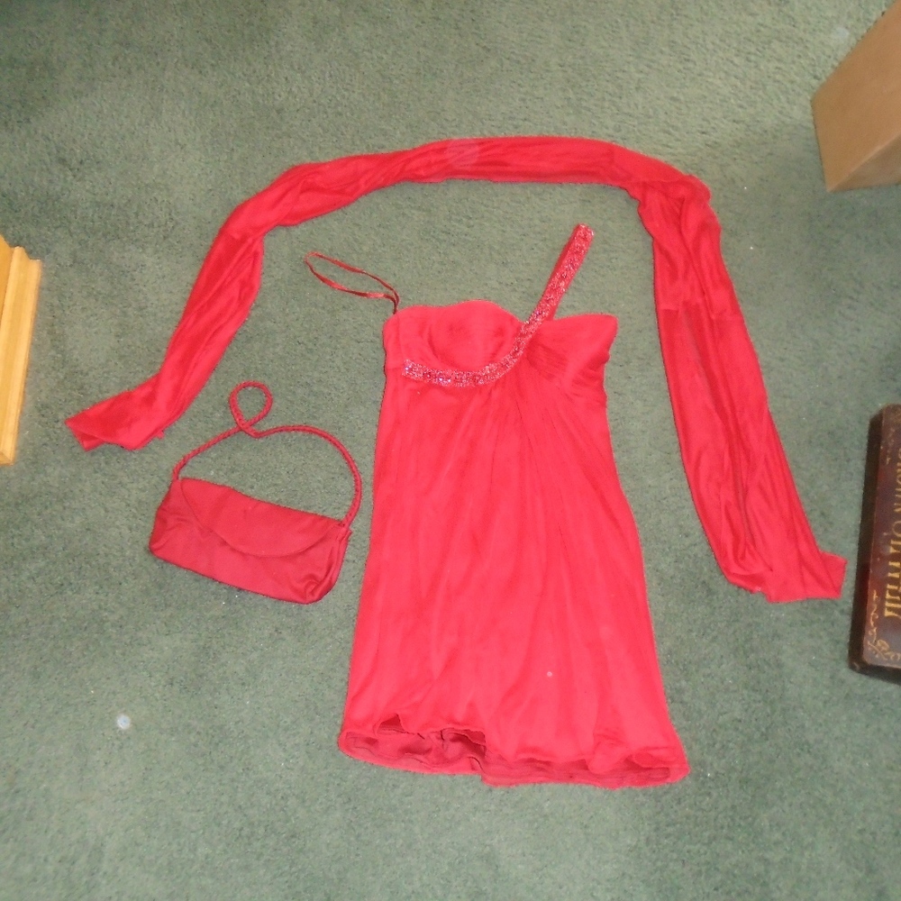 Prom Dress mini with scarf and bag Xscape  Chen 6